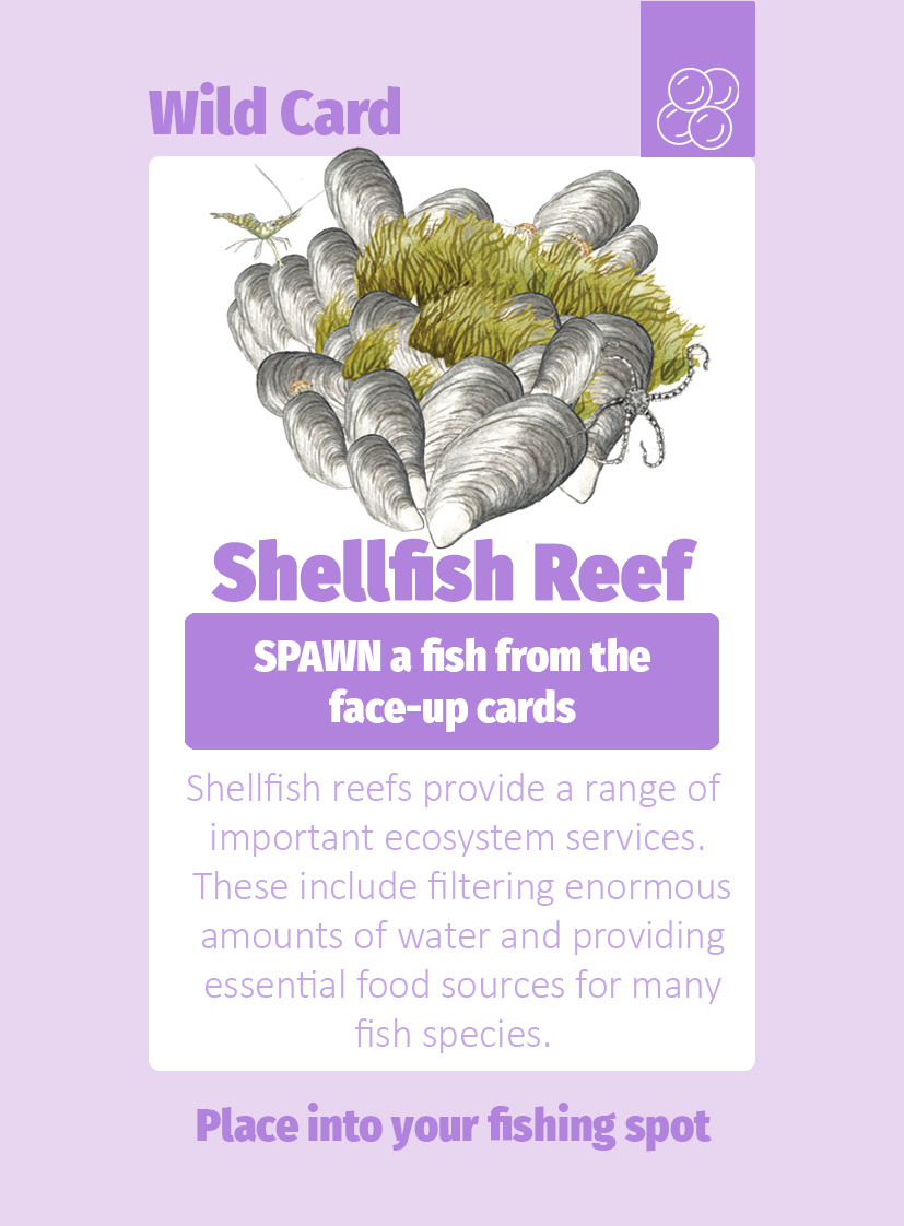 Lobster card
